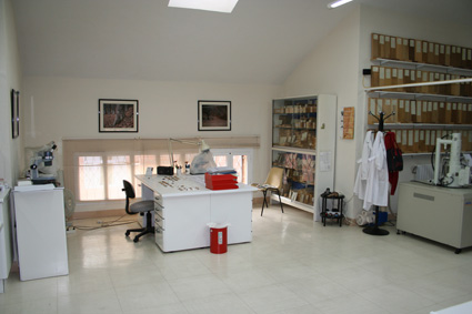 Aspecto general del laboratorio xilográfico de la Escuela de Montes